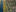 2102,5 BPD NOM Buitenoord Fase 7 Panorama West Still Juni 2022 02 72Dpi