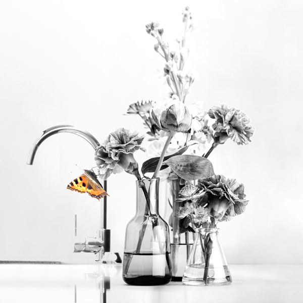 Bekijk de nieuwspagina voor meer informatie